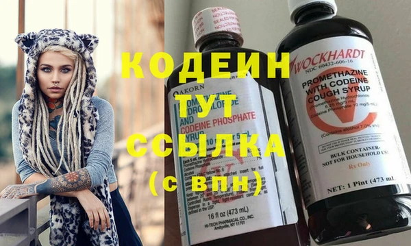 дурь Переславль-Залесский
