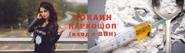 сатива Зеленокумск