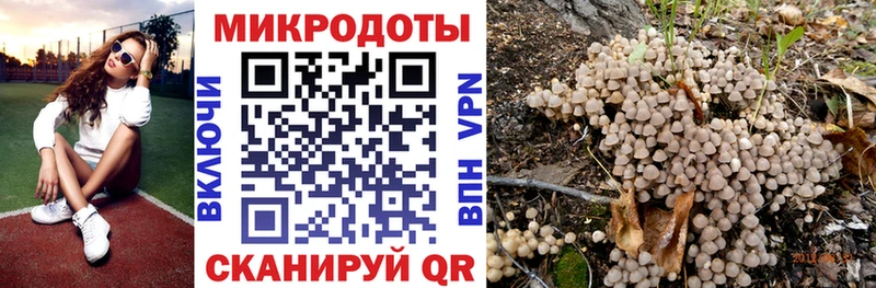 Галлюциногенные грибы Psilocybine cubensis  Бакал 