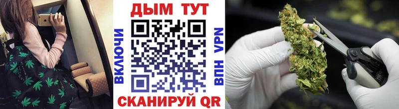где продают   Бакал  МАРИХУАНА планчик 